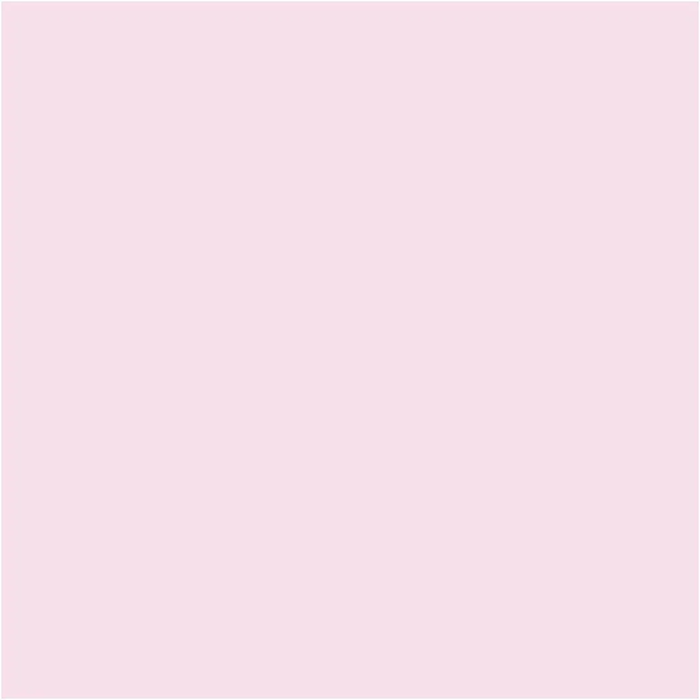 Craft Paint 60 ml - Pale Rose, 1 pc