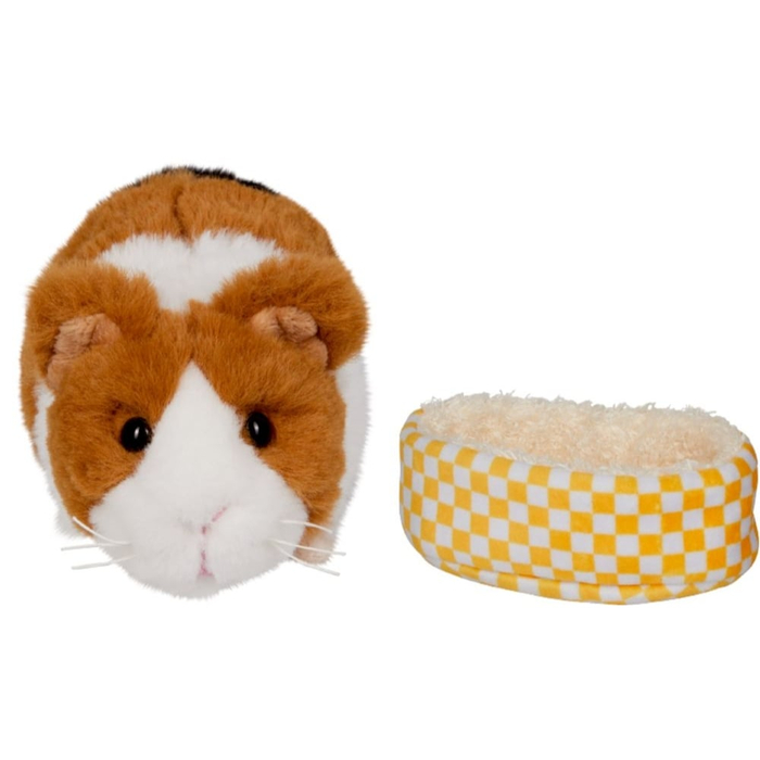 Lola the Guinea Pig