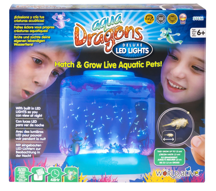 Aqua Dragons Aquarium with LED Light