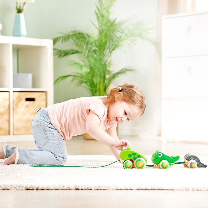 Pull-Along Toy - Frog Family