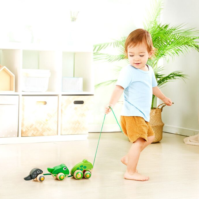 Pull-Along Toy - Frog Family