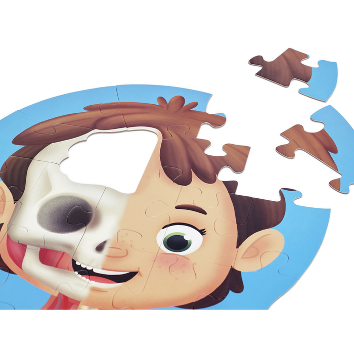Human Body Puzzle with 3D Organs, 50 pcs