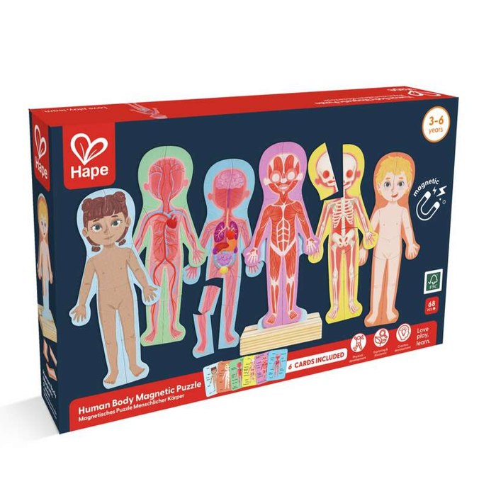 Magnetic Puzzle - Human Body