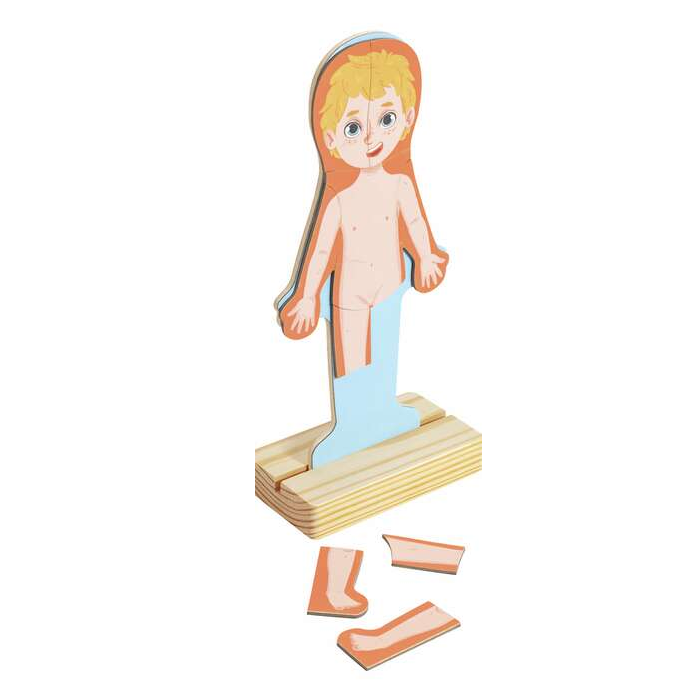 Magnetic Puzzle - Human Body