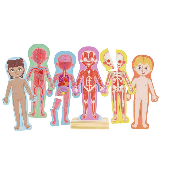Magnetic Puzzle - Human Body