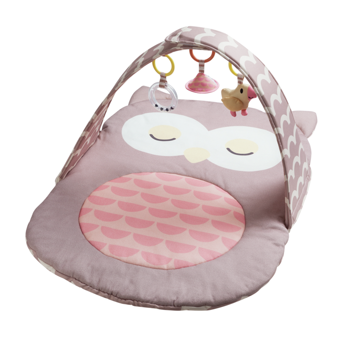 Owl Baby Gym
