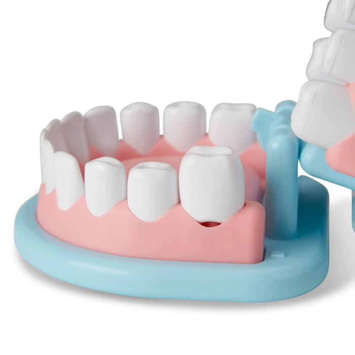 Super Smile Dentist Play Set, 25 pcs