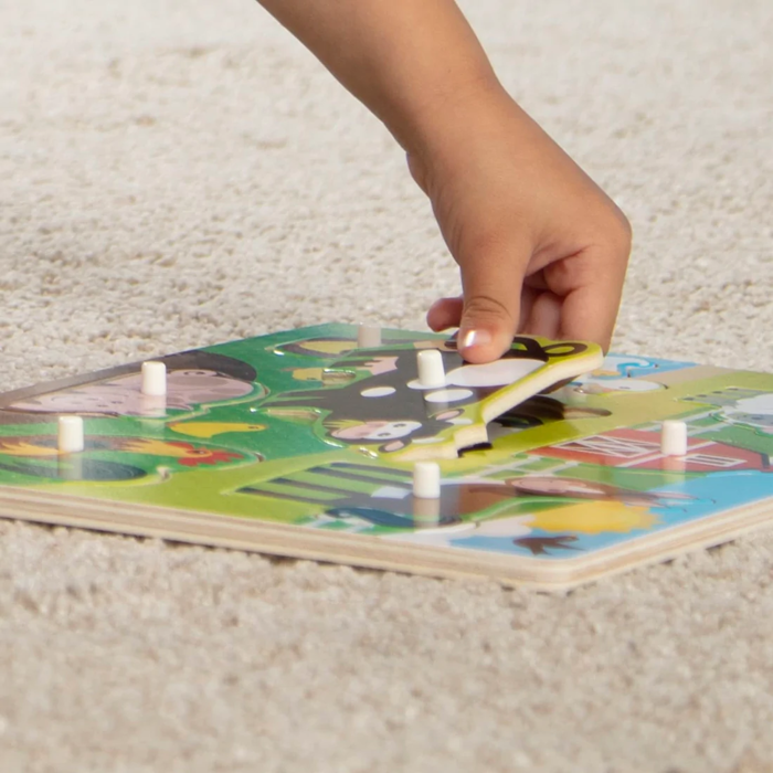Wooden Knob Puzzle