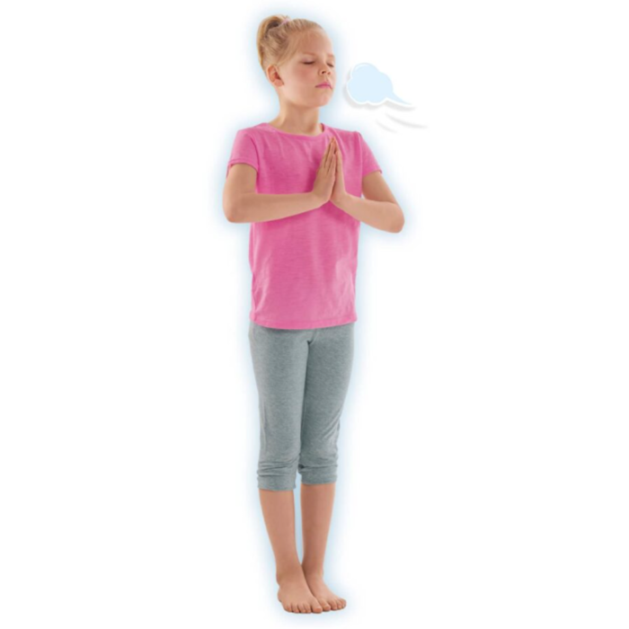 Animal Zen Yoga with 28 Flash Cards