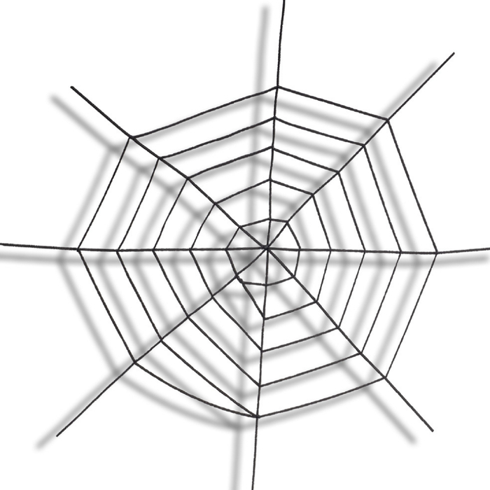 Black Spider Web Ø150 cm