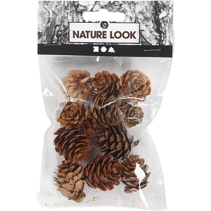 Natural Larch Cones, 12 pcs