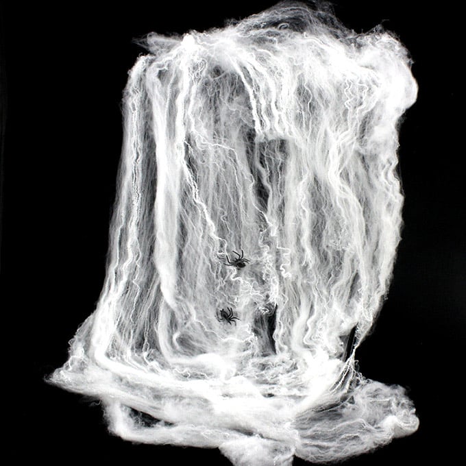 Spider Web with Spider, 20 g
