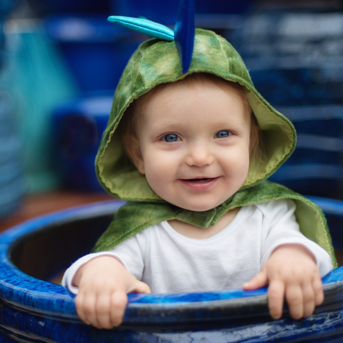 Dragon Cape, 1-2 yrs