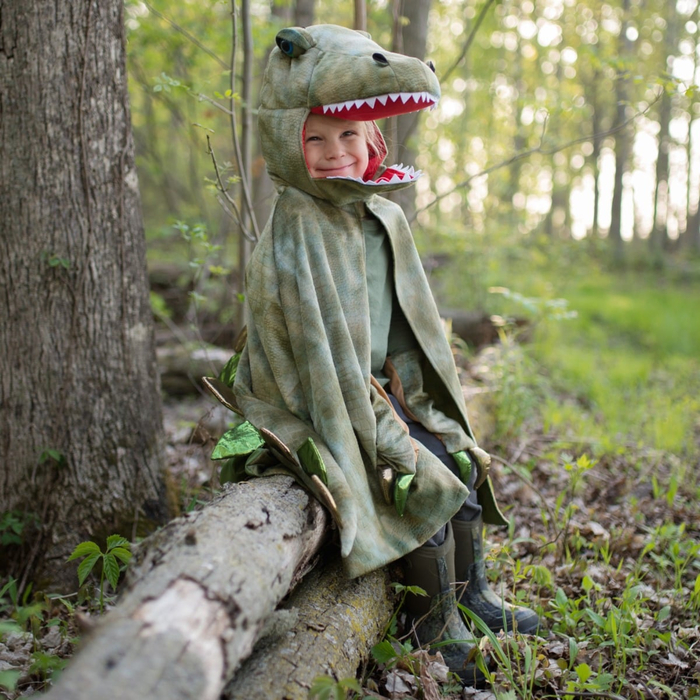 T-Rex Cape with Claws - Green, 4-6 yrs
