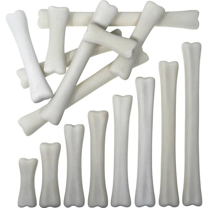 Dinosaur Bones, 16 pcs