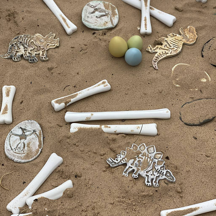 Dinosaur Bones, 16 pcs