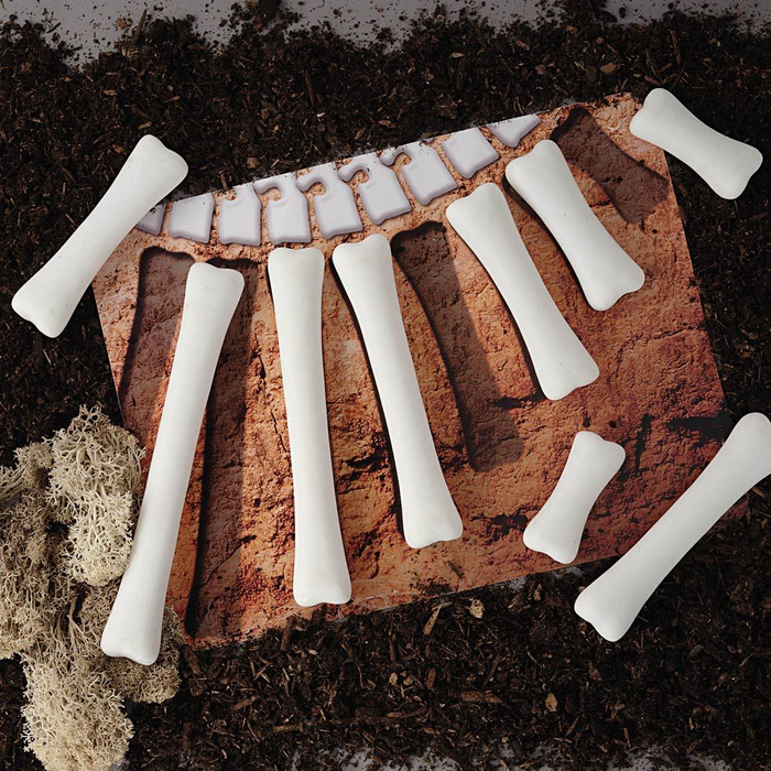 Activity Cards for Dinosaur Bones, 16 pcs