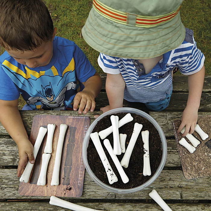 Activity Cards for Dinosaur Bones, 16 pcs