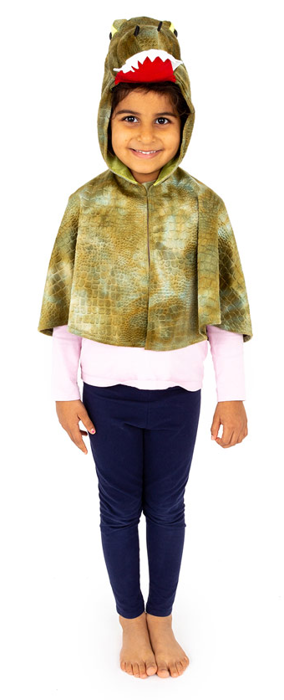 Crocodile Costume, Size 3-7 yrs
