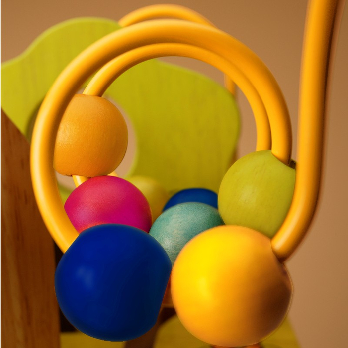 Wooden Activity Cube - Zany Zoo