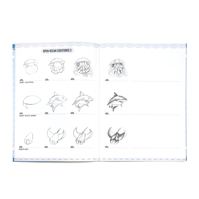Learn to Draw - Under the Sea