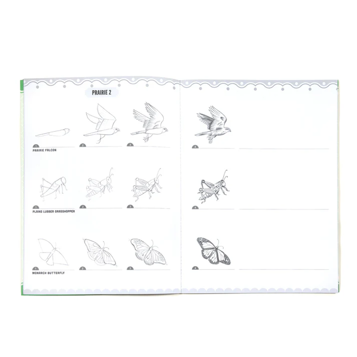 Learn to Draw - Bugs, Birds & Butterflies