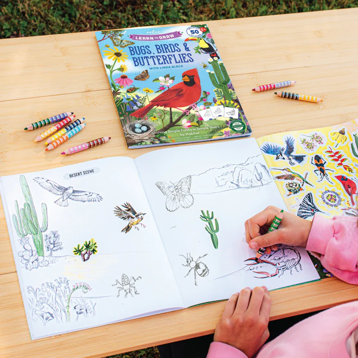 Learn to Draw - Bugs, Birds & Butterflies