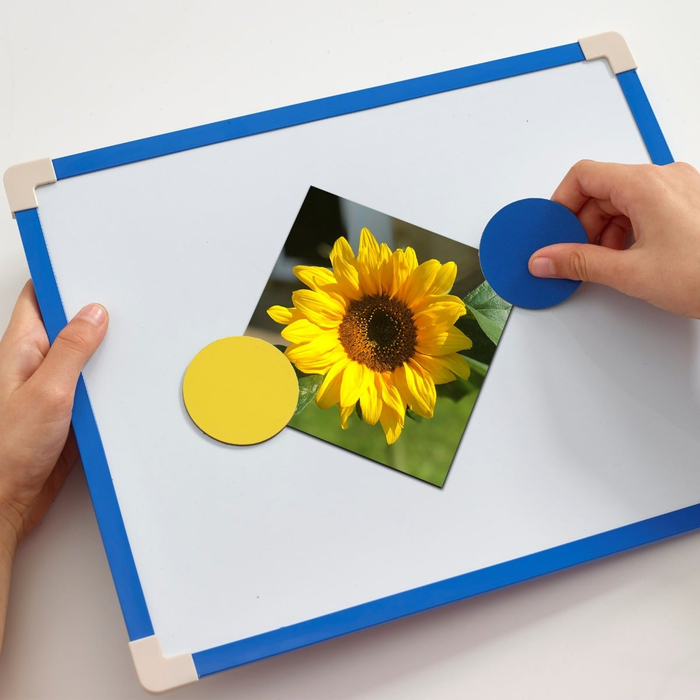 Magnetic Whiteboard 30x24.5 cm incl. Markers