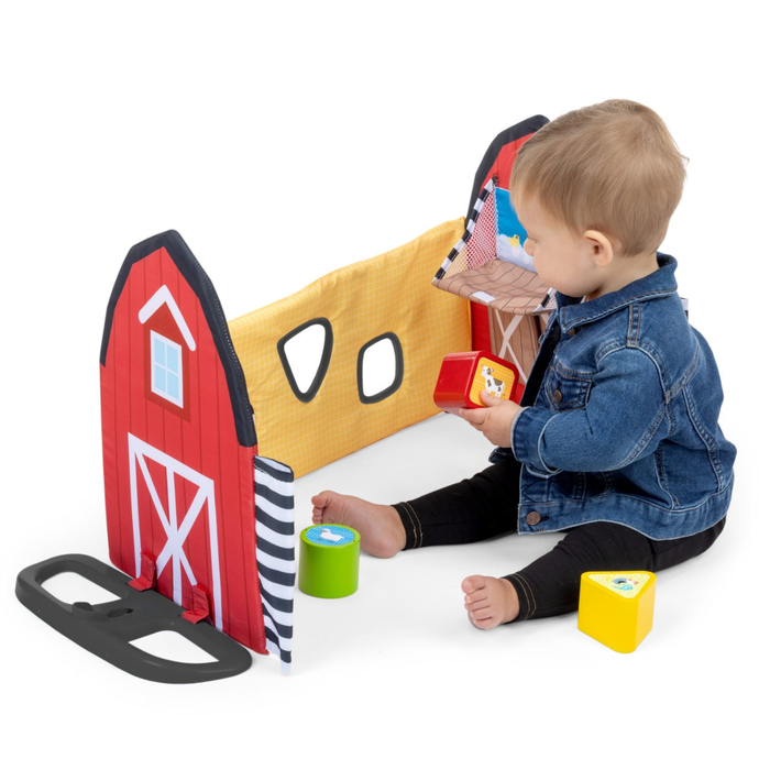 Baby Einstein - Busy Barnyard Play Gym