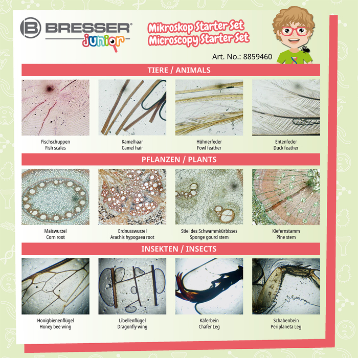 Microscope Accs. - Prepared Slides, 24 pcs