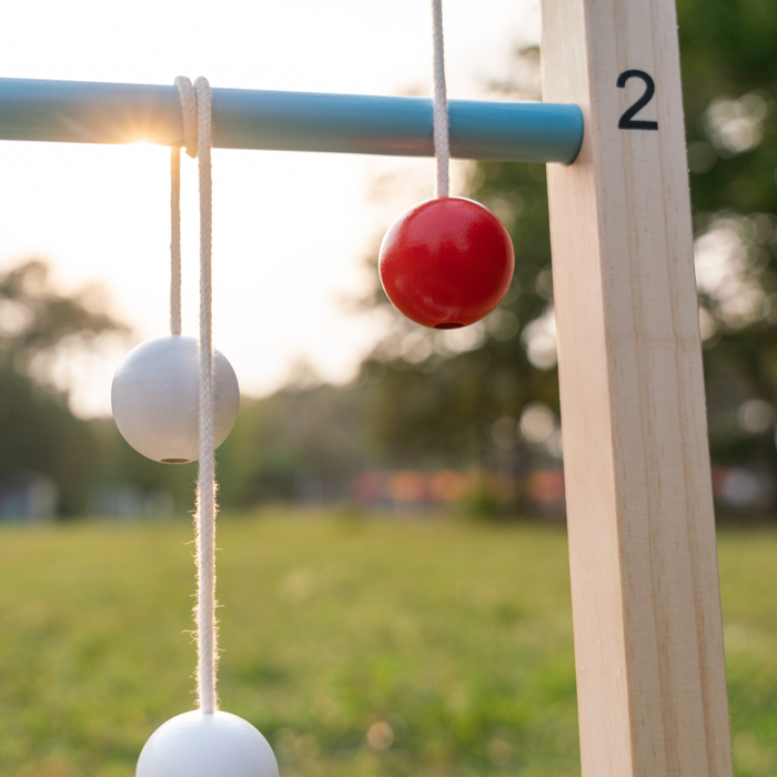 2-in-1 Ladder & Disc Toss Game