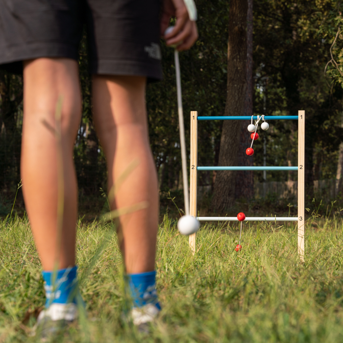 2-in-1 Ladder & Disc Toss Game