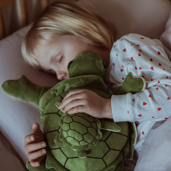 Weighted Stuffed Animal - Turtle, 1.6 kg