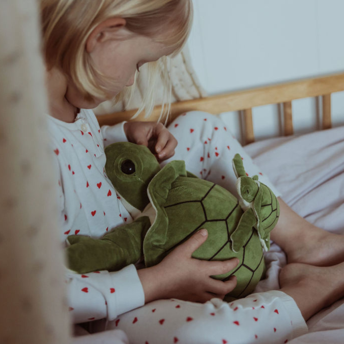 Weighted Stuffed Animal - Turtle, 1.6 kg