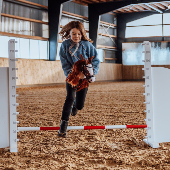 byASTRUP Hobby Horse - Red Pinto "Coco"