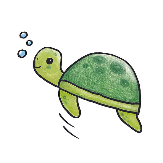 How to Draw Sea Animals (Ages 6+)