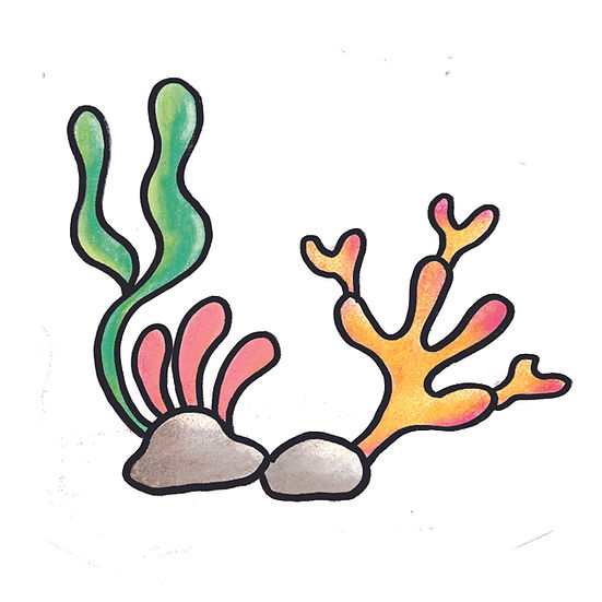 How to Draw Sea Animals (Ages 6+)