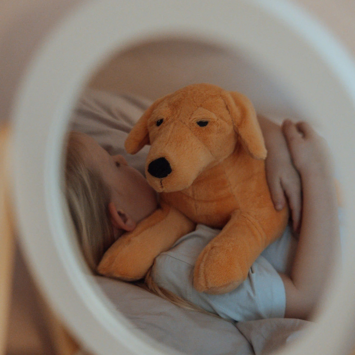 Weighted Stuffed Animal - Dog, 2.2 kg