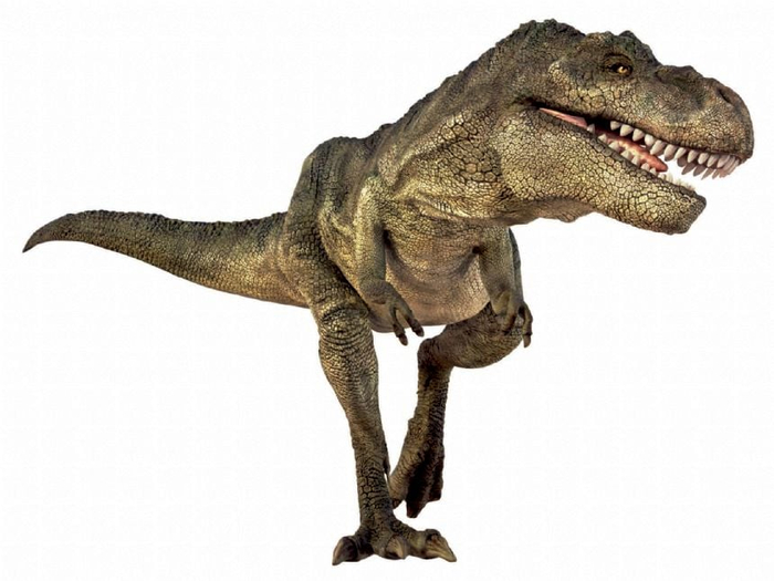 Dinosaur Picture Viewer