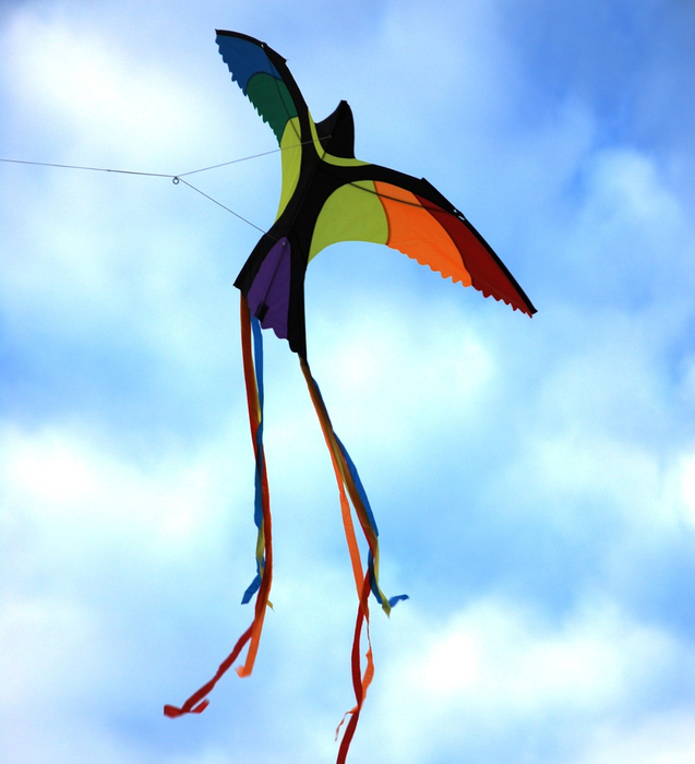 Kite - Bird 130x75 cm