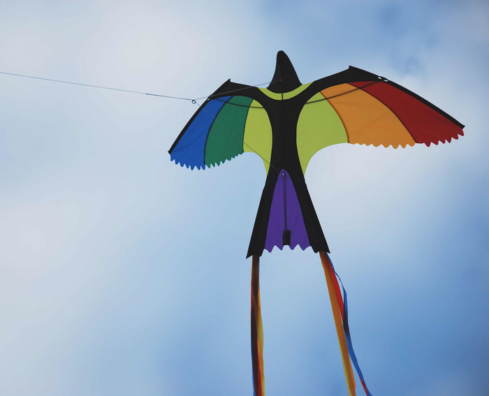 Kite - Bird 130x75 cm