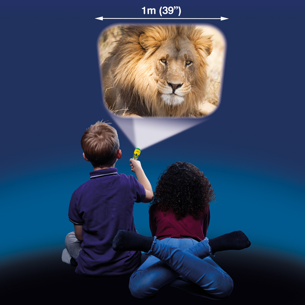 Torch Projector with Slides - Animals