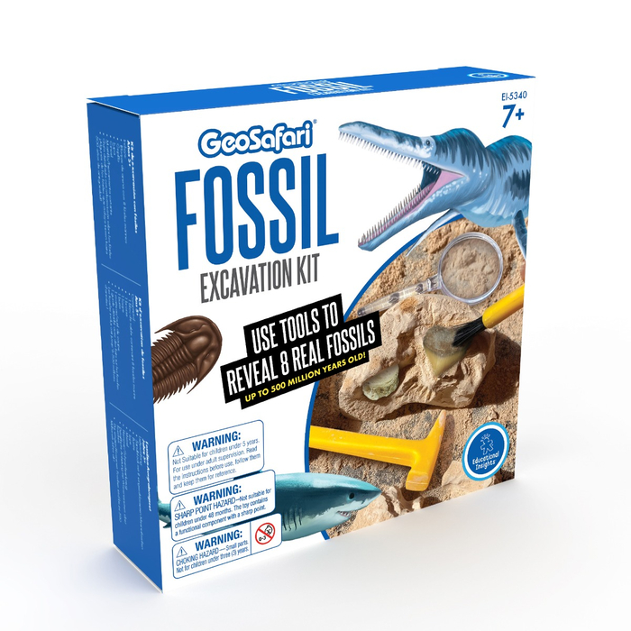 Fossil Excavation Kit