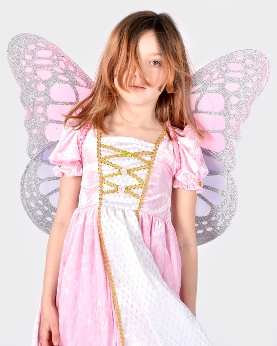 Set of Silver Glitter Wings