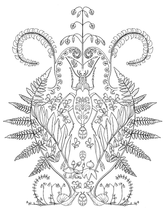 Colouring Book - Insects