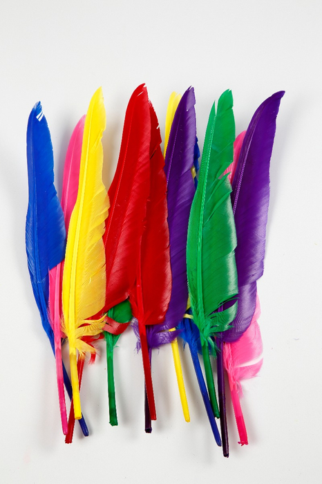 Goose Feathers - Assorted Colours, 12 pcs