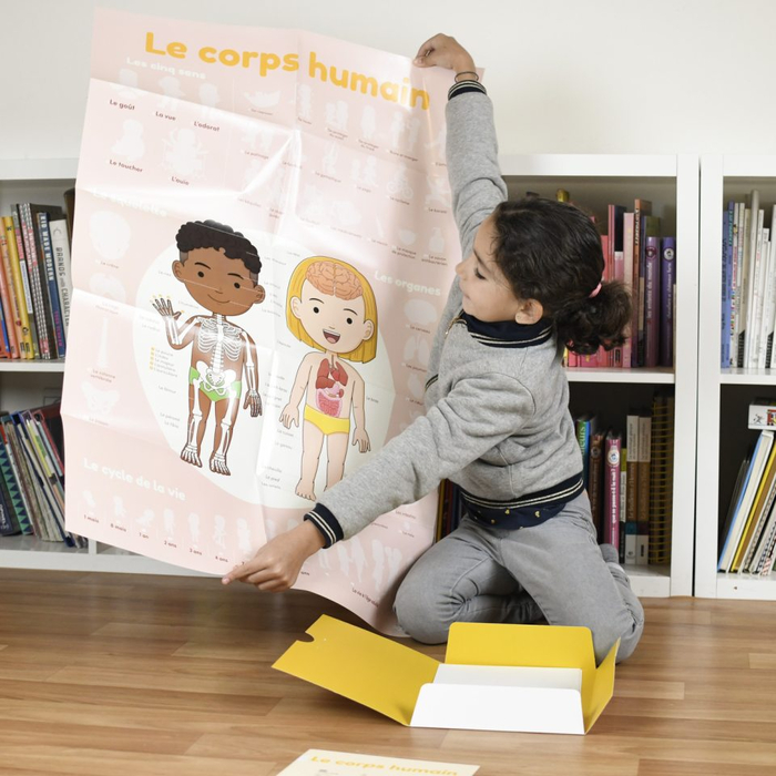 Learn & Discover Sticker Poster - The Human Body