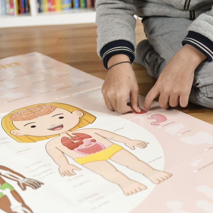 Learn & Discover Sticker Poster - The Human Body