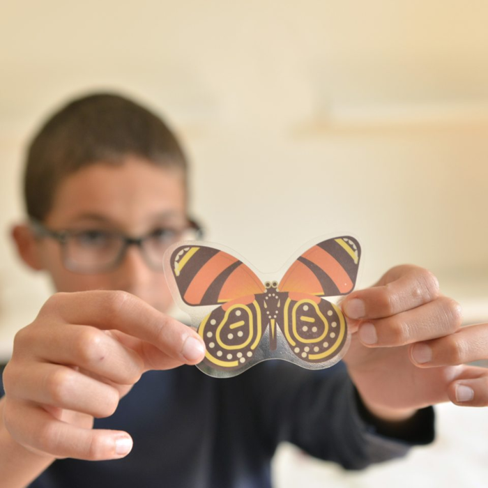 Learn & Discover Sticker Poster - Insects