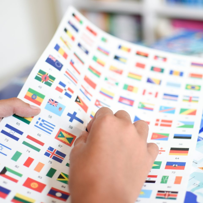 Learn & Discover Sticker Poster - World Flags